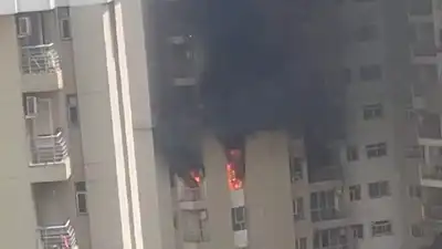 UP : नोएडा में दो जगह आग से हड़कंप: IVY County सोसायटी और PG बिल्डिंग में मची अफरा-तफरी